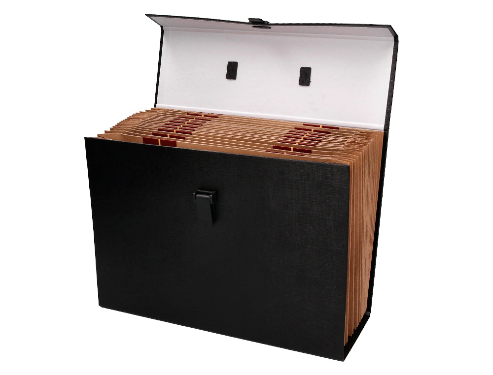 MALETIN LIDERPAPEL CON FUELLE Y ASA CARTON FORRADO 19 DEPARTAMENTOS 255X390X120 MM COLORES SURTIDOS