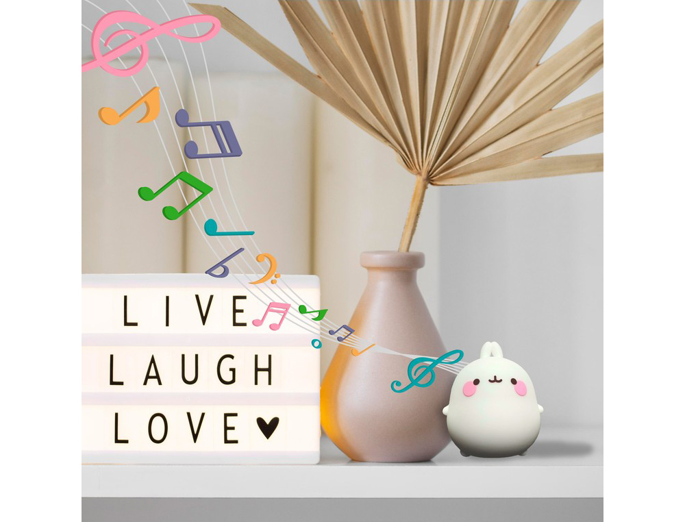 ALTAVOZ MOLANG BLUETOOTH