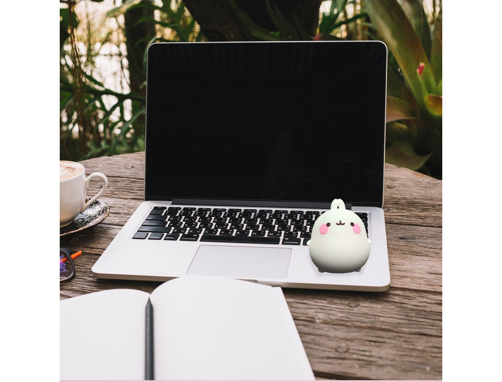 ALTAVOZ MOLANG BLUETOOTH