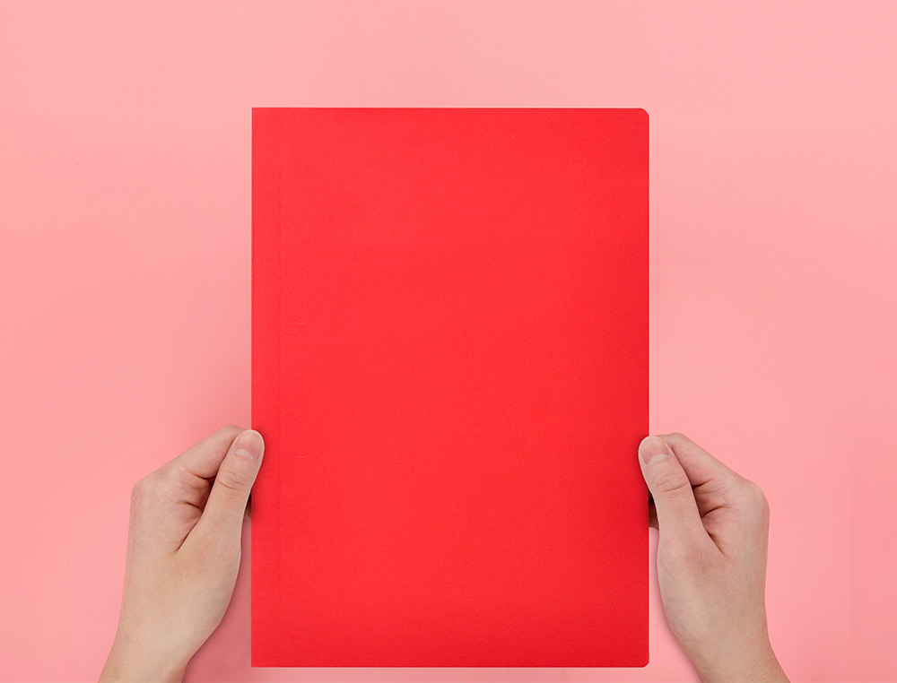 SUBCARPETA LIDERPAPEL FOLIO ROJO INTENSO 180G/M2