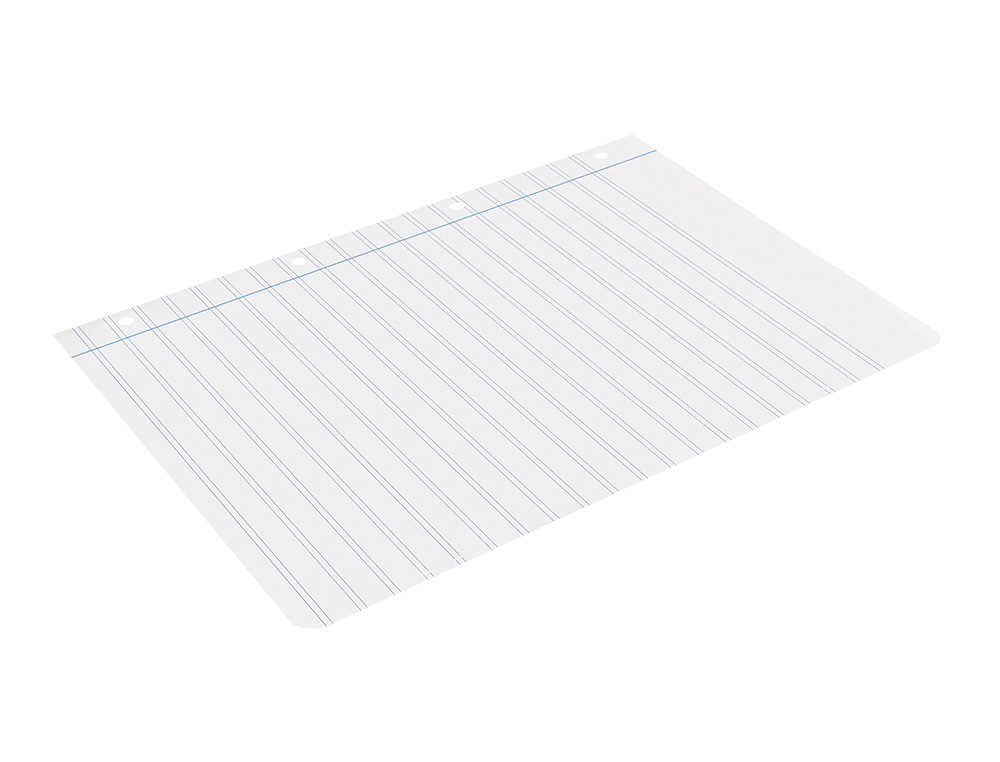 RECAMBIO LIDERPAPEL A4 100 HOJAS 100GR PAUTA 5 2.5MM CON MARGEN 4 TALADROS