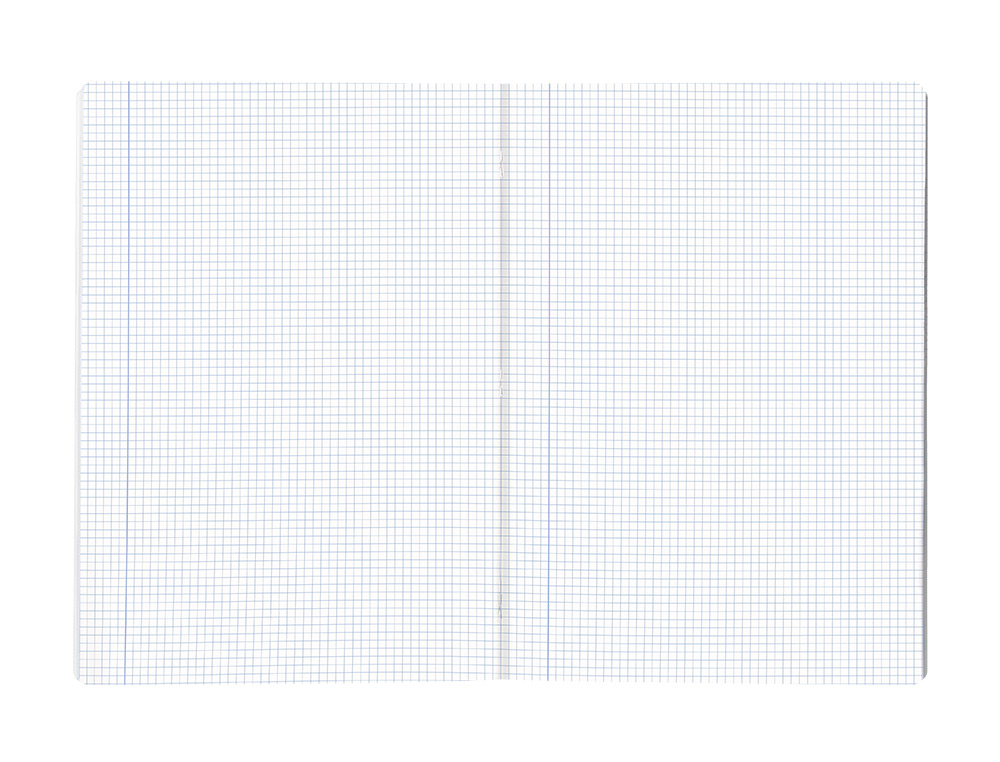 LIBRETA LIDERPAPEL SCRIPTUS A4 48 HOJAS 90GR CUADRO 5MM CON MARGEN COLORES SURTIDOS